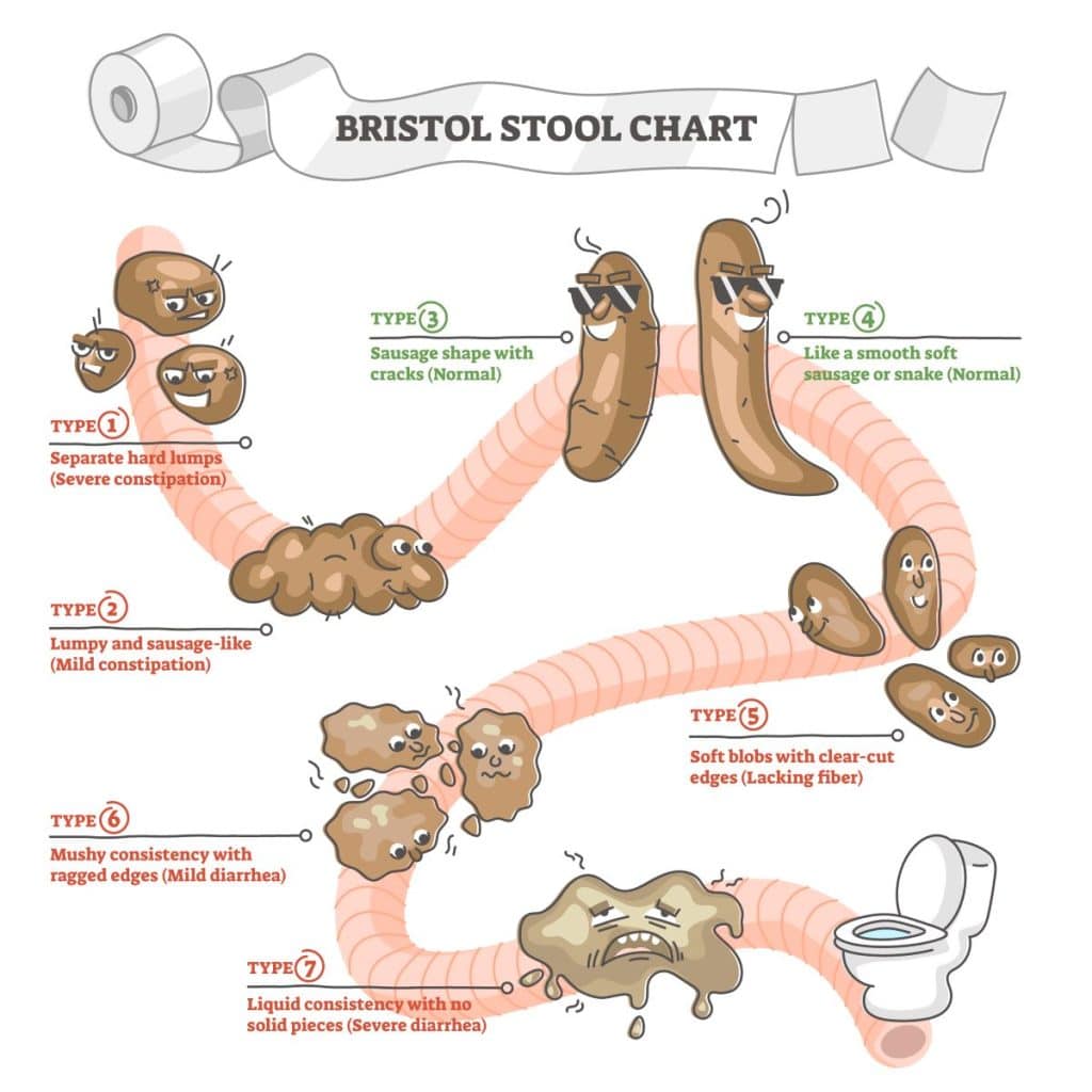 Bristol Stool Chart.
