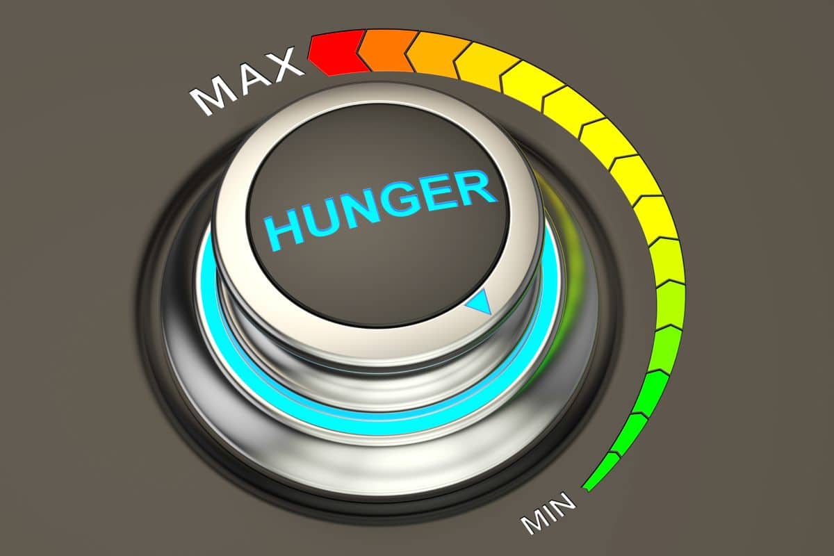Dial labelled hunger showing min to max
