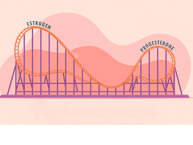 Estrogen and progesterone on a rollar coaster as hormones fluctuate